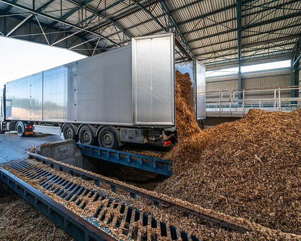 Biomass industry