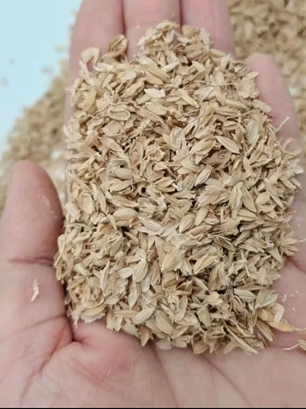 Rice Husk