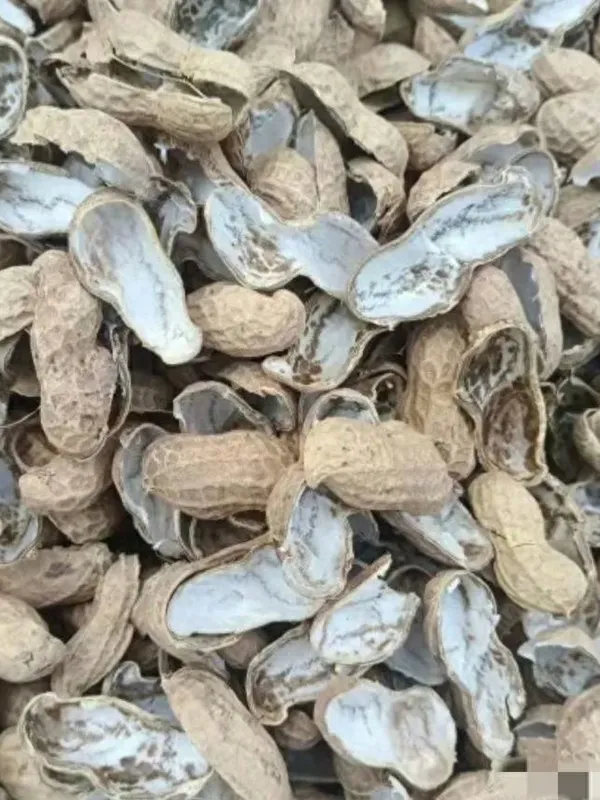peanut shells